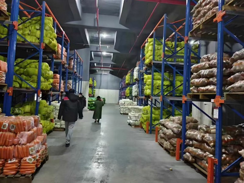 微信圖片_20251204143803_1247_261